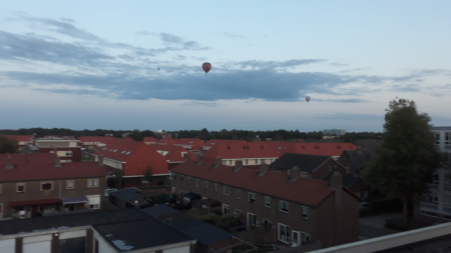 HEMA Apeldoorn Hart van Zuid — foto 5