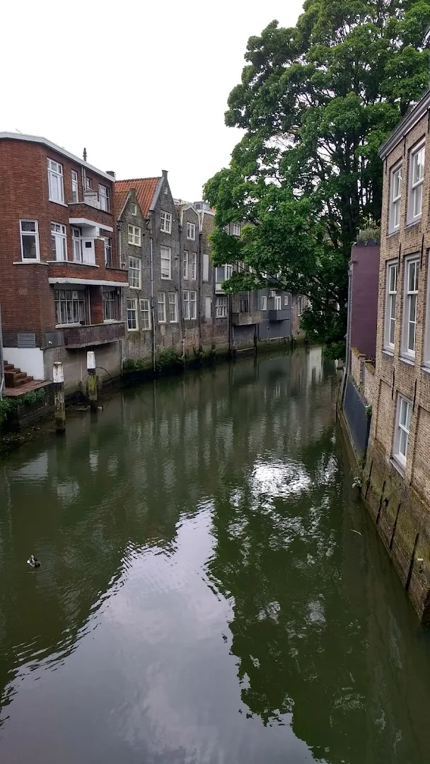 Zeeman Dordrecht Kolfstraat — foto 6
