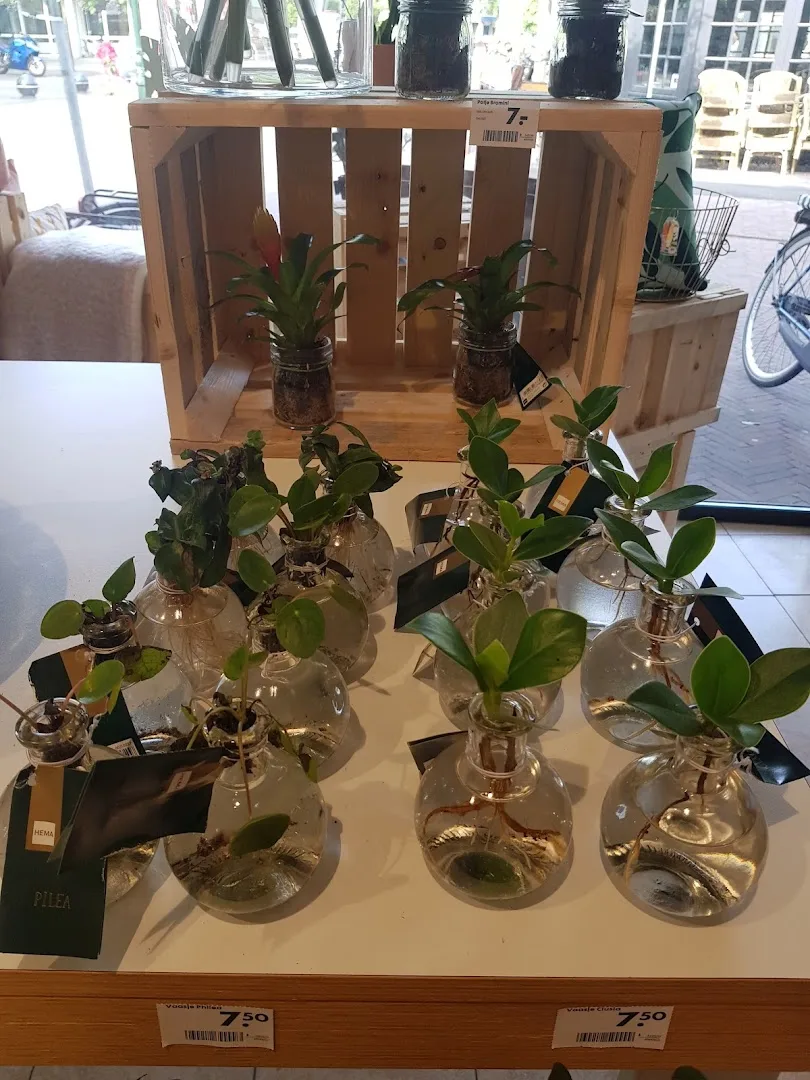 HEMA Baarn — foto 3