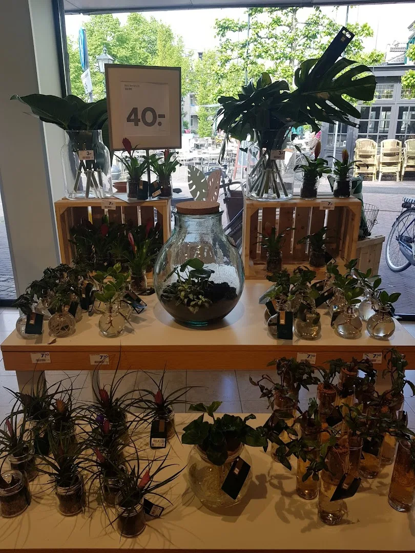 HEMA Baarn — foto 7