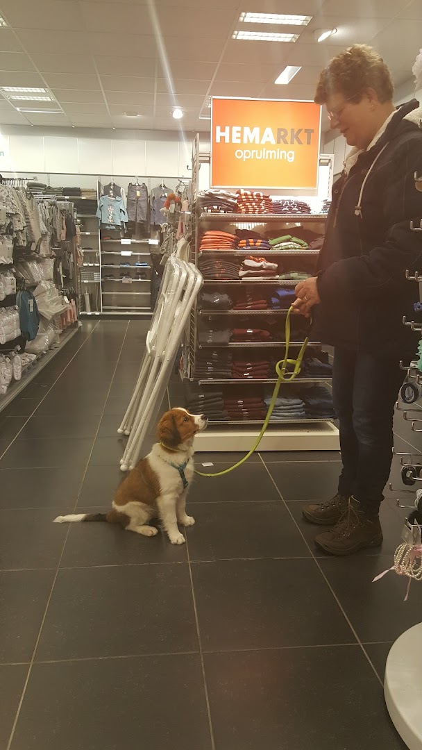HEMA Beneden-Leeuwen — foto 4
