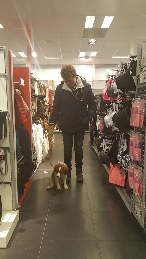 HEMA Beneden-Leeuwen — foto 10