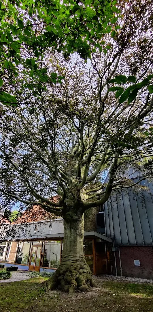 Van der Velde Boeken Harlingen — foto 6