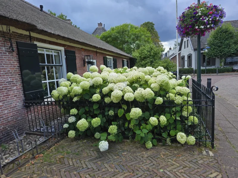 Blaricumsche Boekhandel — foto 4