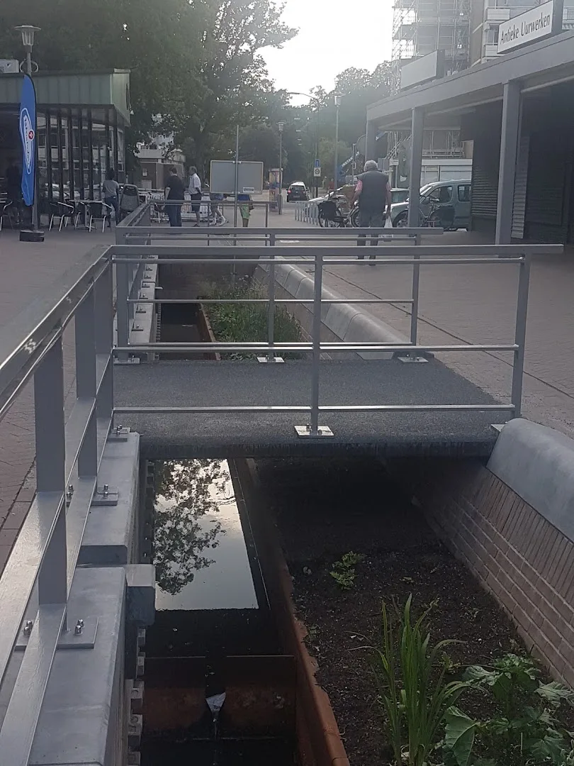 Primera BLZ Westra Kerschoten — foto 6