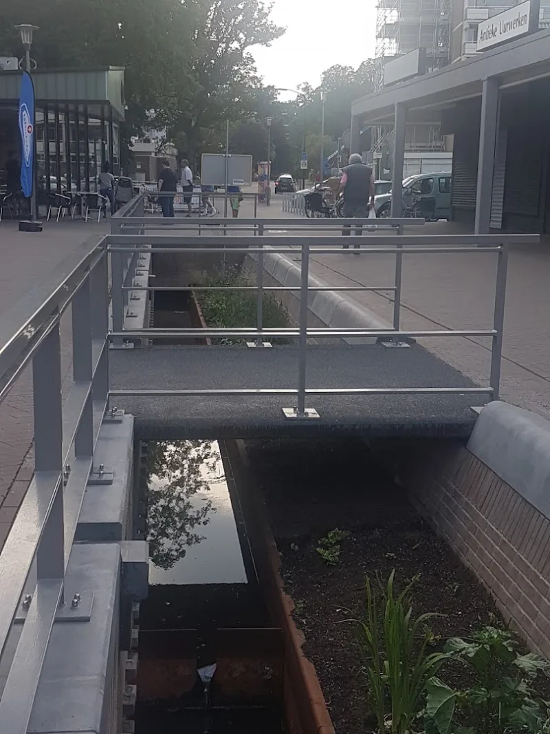 Primera BLZ Westra Kerschoten — foto 10
