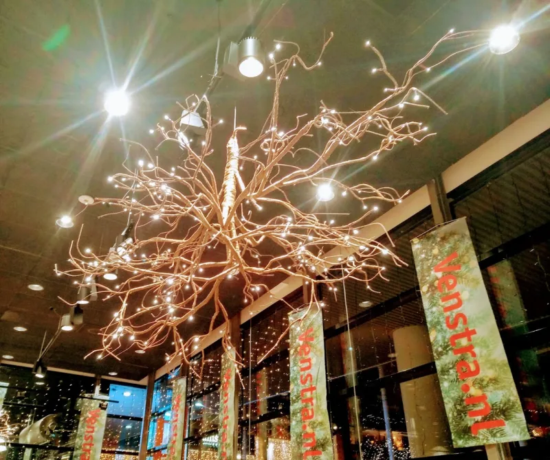 Boekhandel Libris Venstra