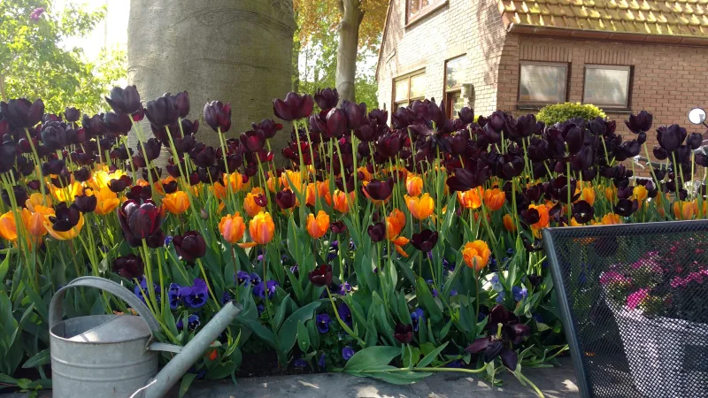 Wijnhuis Wooning — foto 3