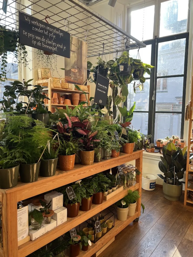 Dille & Kamille Amersfoort — foto 7