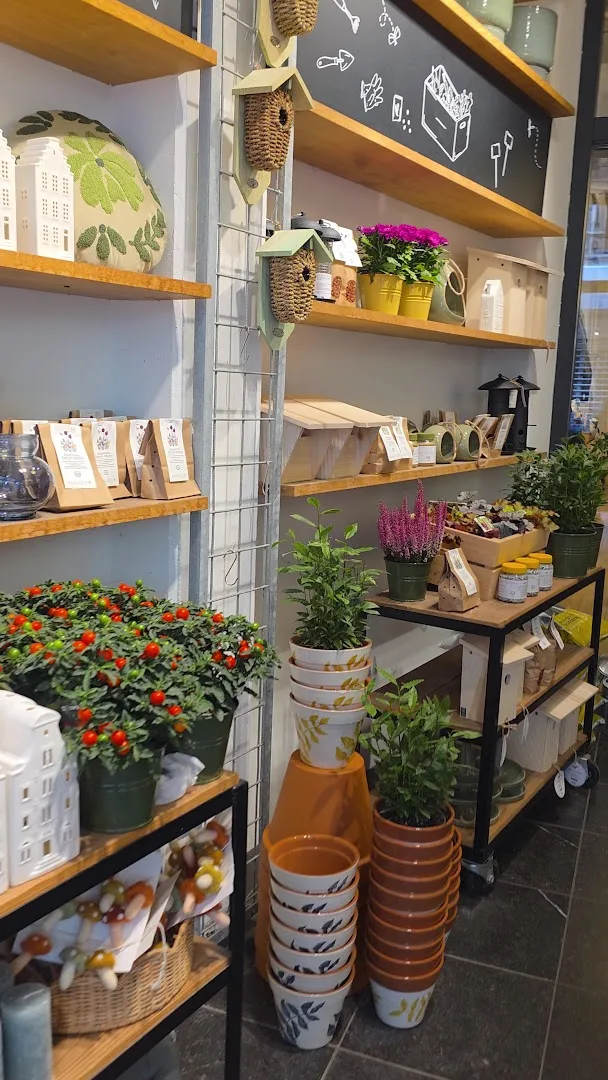 Dille & Kamille Amsterdam Nieuwendijk — foto 5