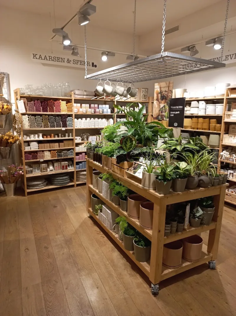 Dille & Kamille Haarlem — foto 5