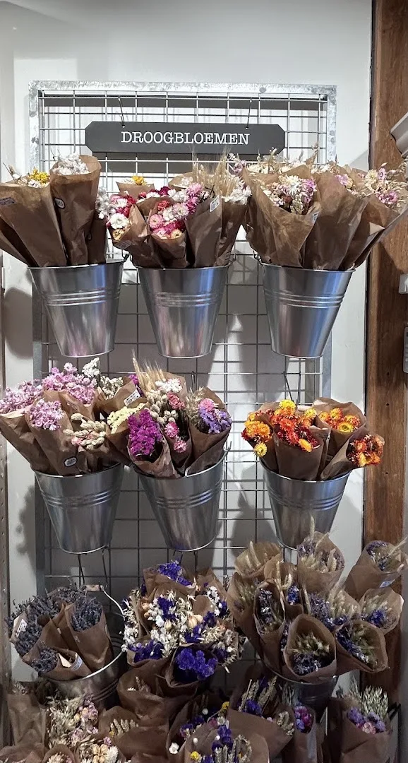 Dille & Kamille Hoorn — foto 7