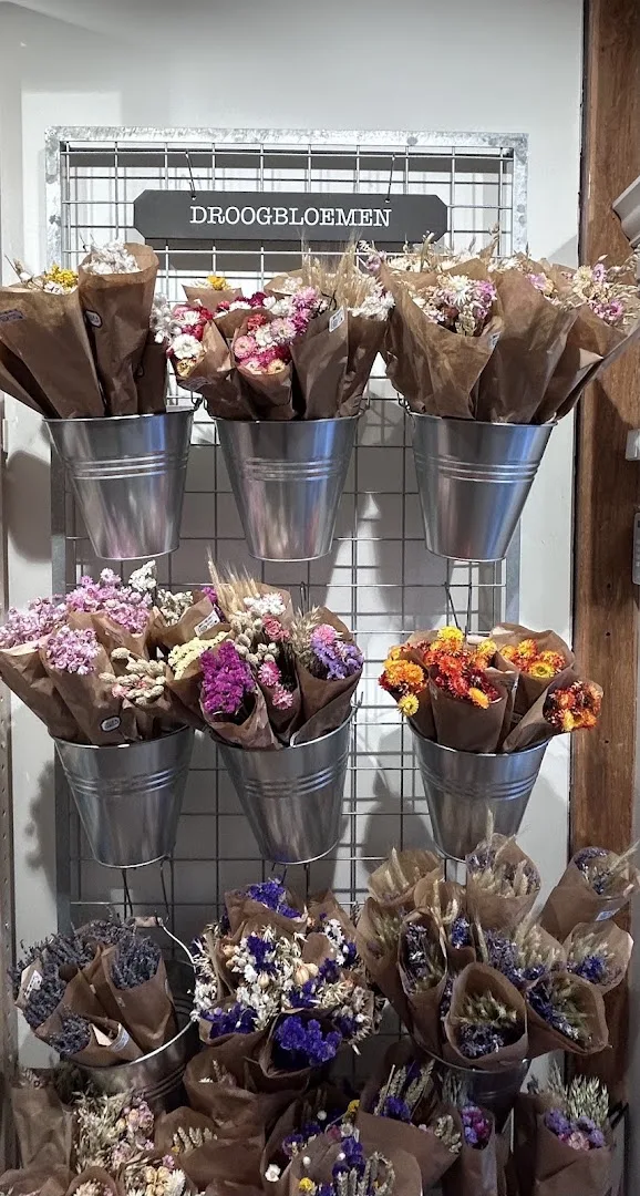 Dille & Kamille Hoorn — foto 6