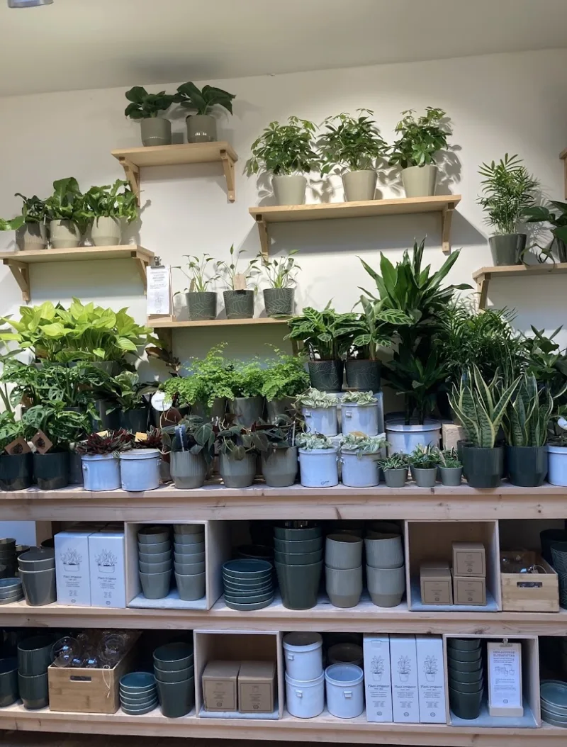 Dille & Kamille Maastricht — foto 5