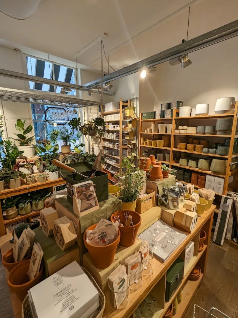 Dille & Kamille Zwolle — foto 4