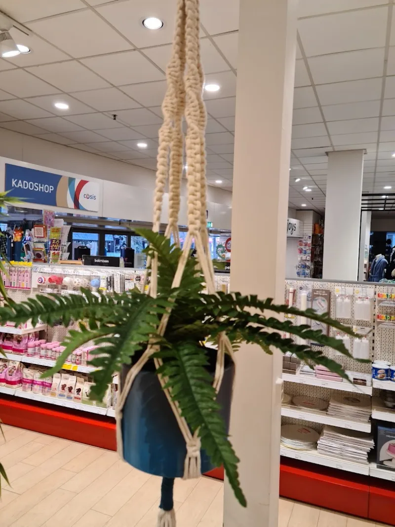 Pipoos Assen — foto 6