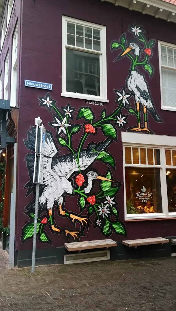 Pipoos Den Haag — foto 2