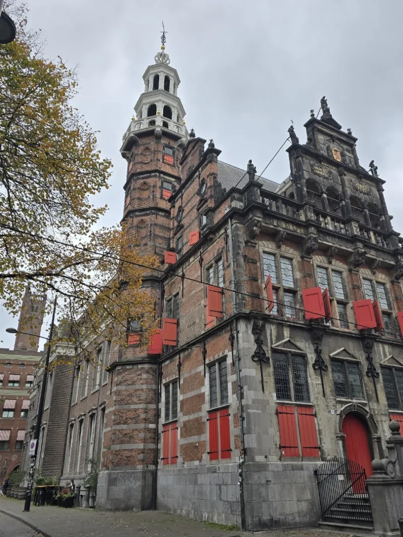 Pipoos Den Haag — foto 6