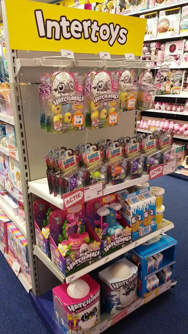 Intertoys Bergen Op Zoom — foto 8