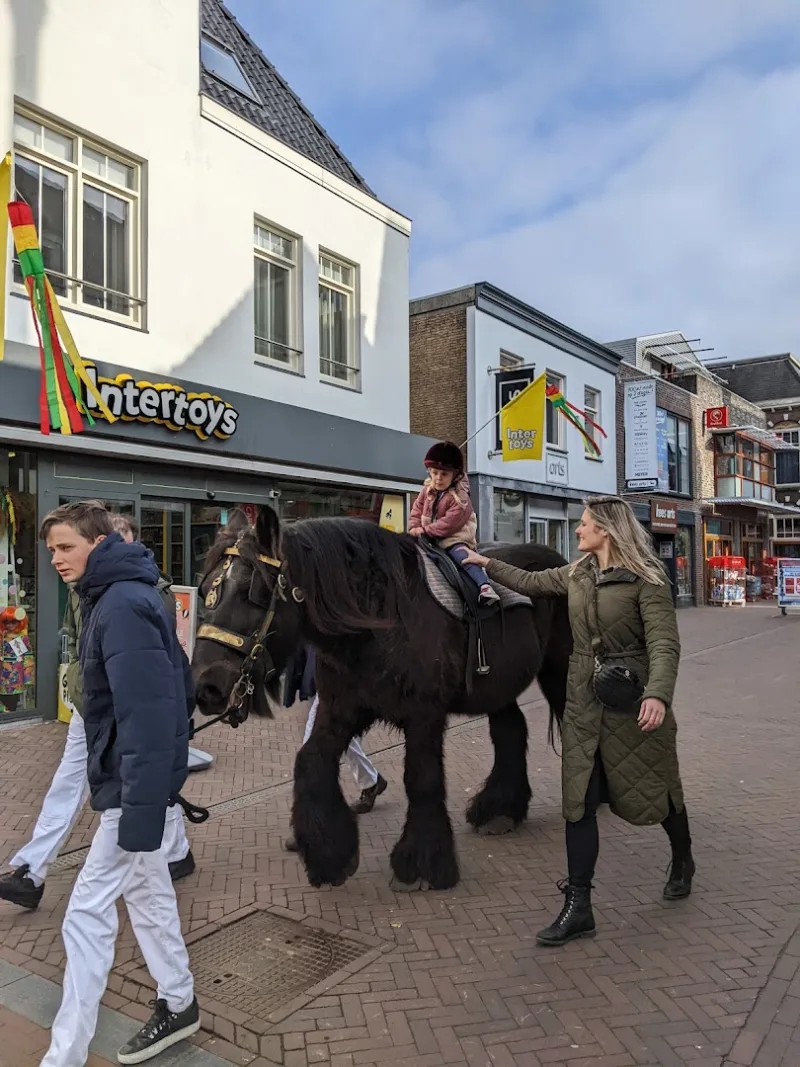 Intertoys Boxmeer — foto 8