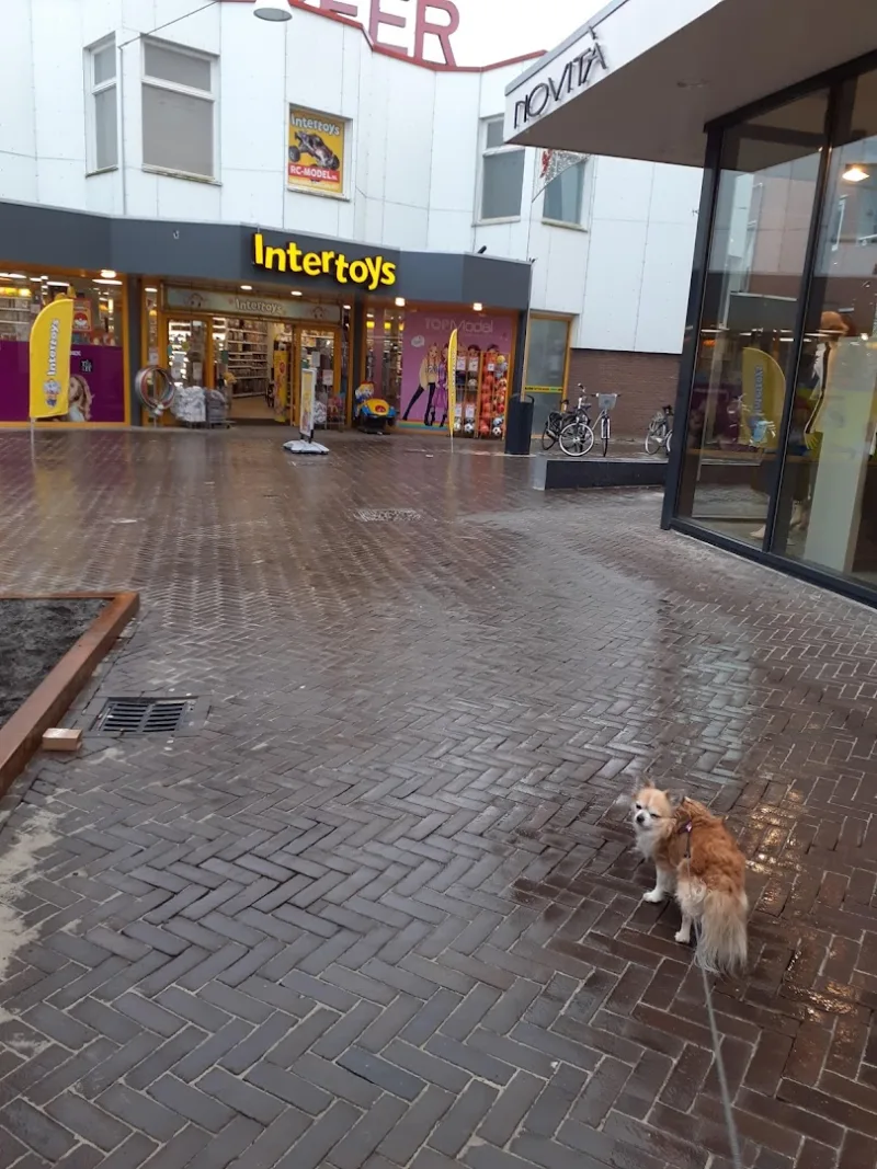 Intertoys Emmen — foto 5