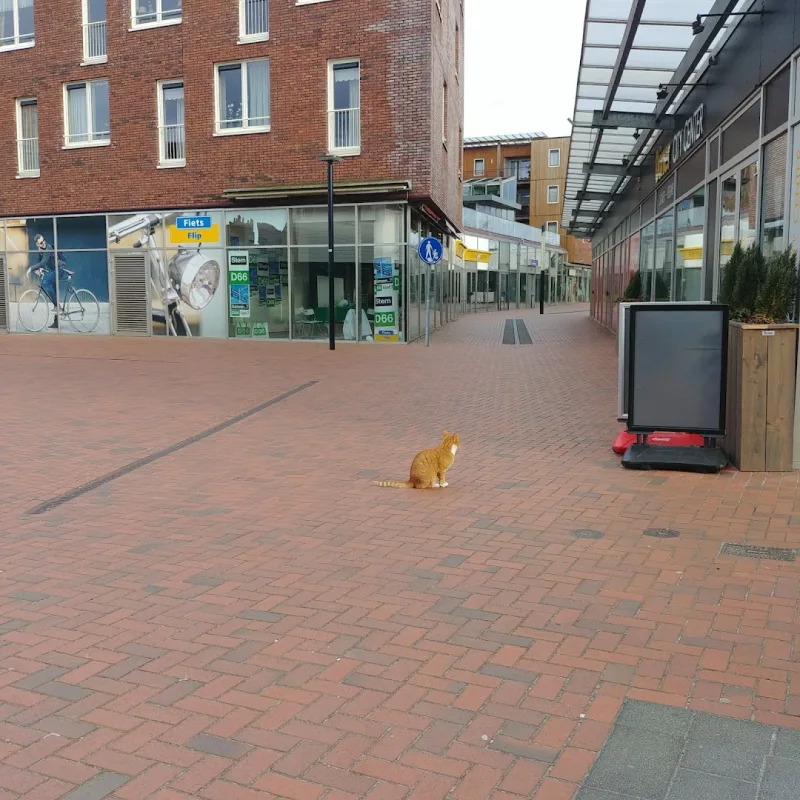 Intertoys Stadskanaal — foto 7