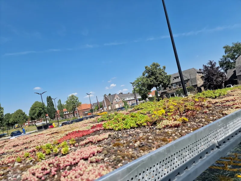 Etos Van Kollaan 7 Goor — foto 3