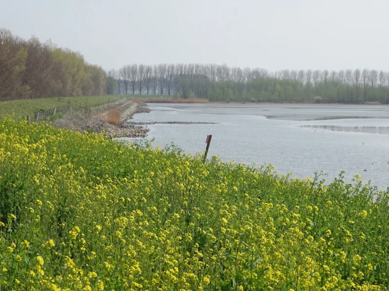 Karwei Numansdorp — foto 6