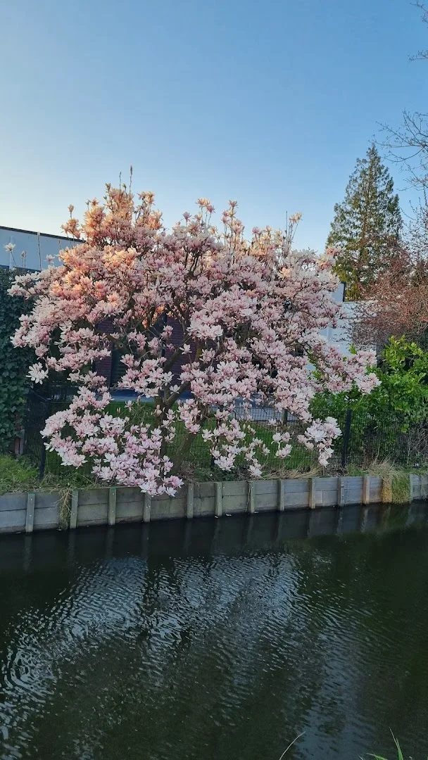 Karwei Papendrecht — foto 4