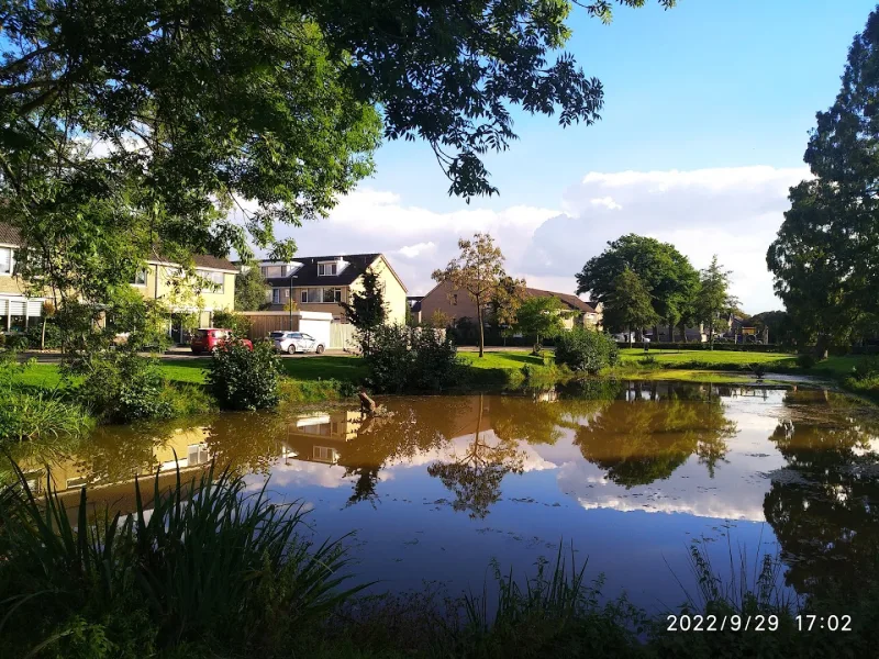 Karwei Dongen — foto 8