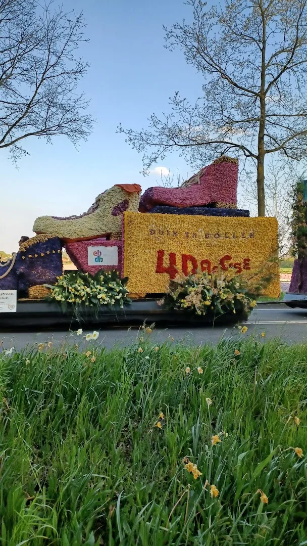 Karwei Hillegom — foto 7