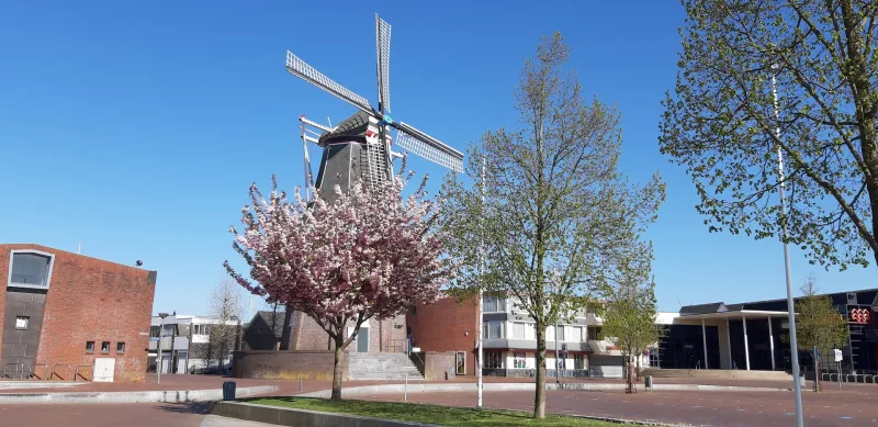 Karwei Delfzijl — foto 6