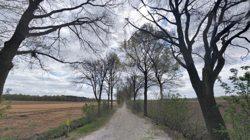 Karwei Roosendaal — foto 3