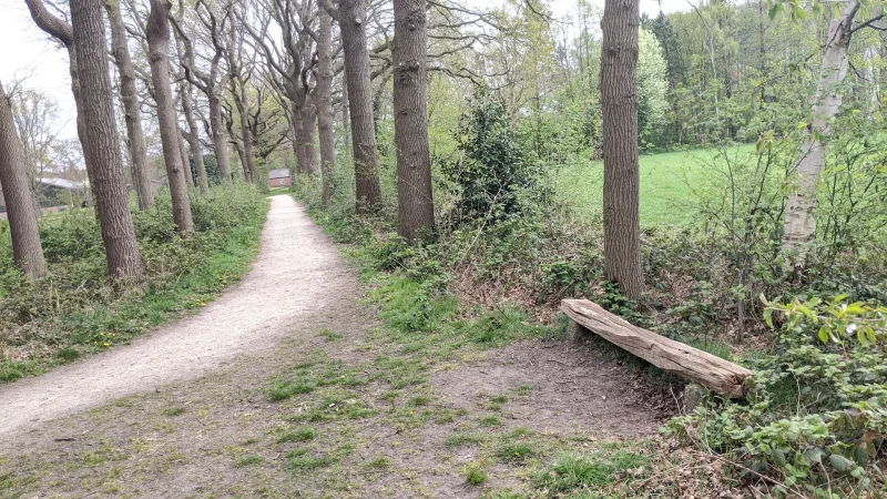Karwei Roosendaal — foto 6