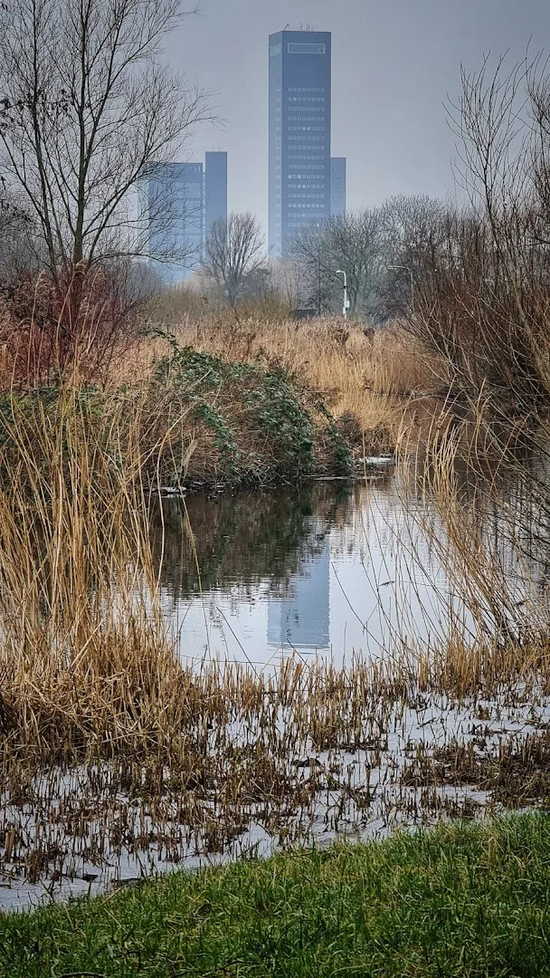Karwei Leeuwarden — foto 7