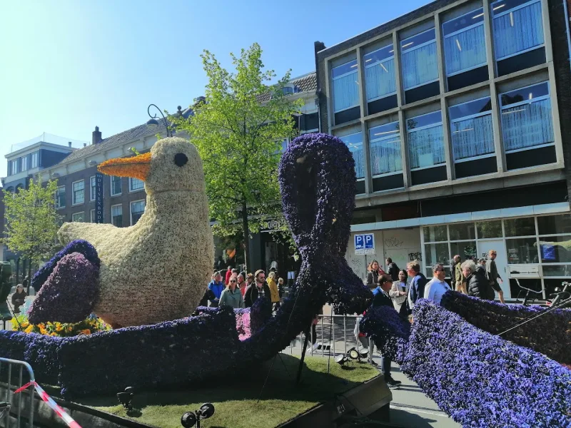 Karwei Haarlem — foto 4