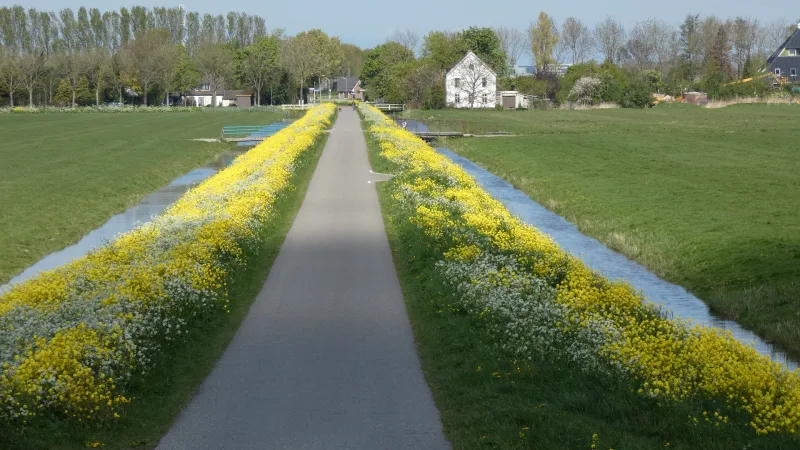 Purmerend