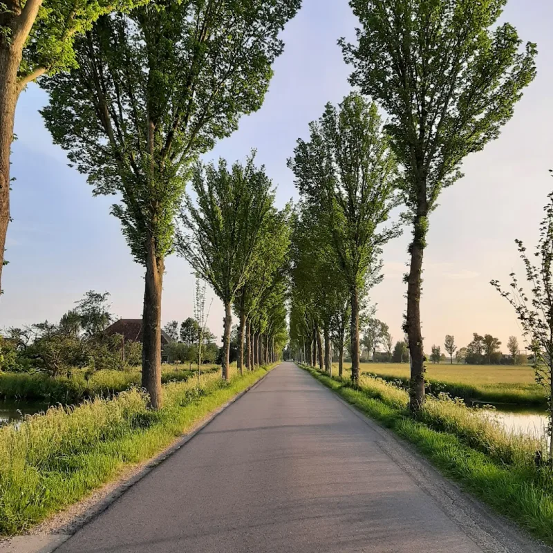 Purmerend — foto 8