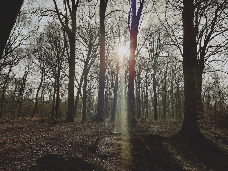 Karwei Barneveld — foto 7