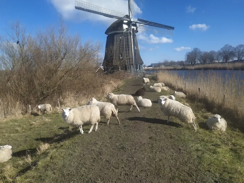 Karwei Broek Op Langedijk — foto 6