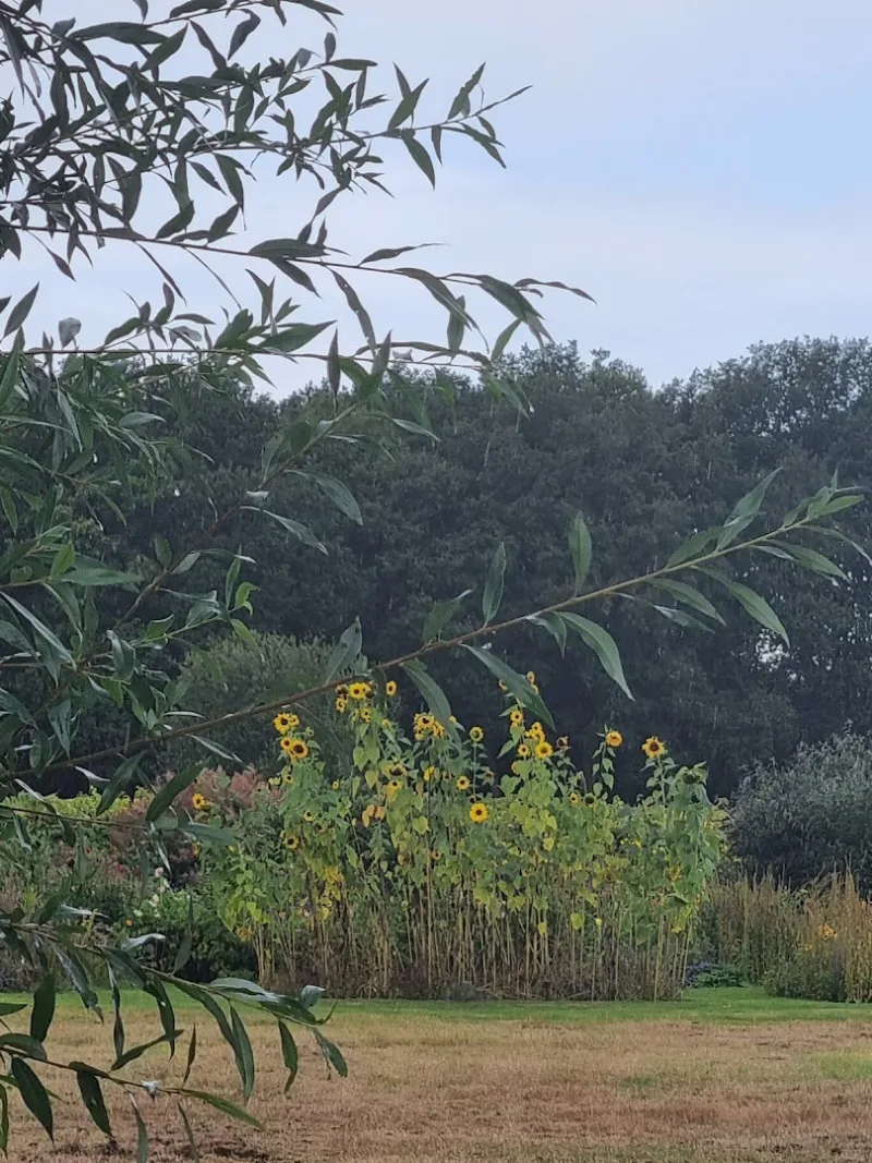 Ommen — foto 2