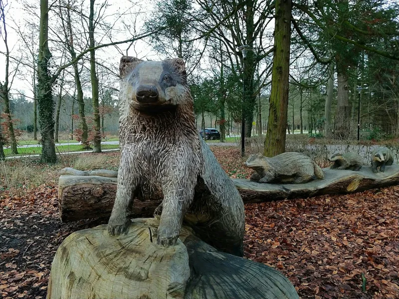Ommen — foto 4