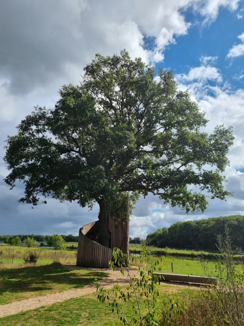 Ommen — foto 6