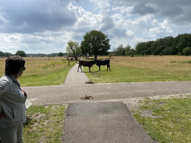Karwei Heesch — foto 5