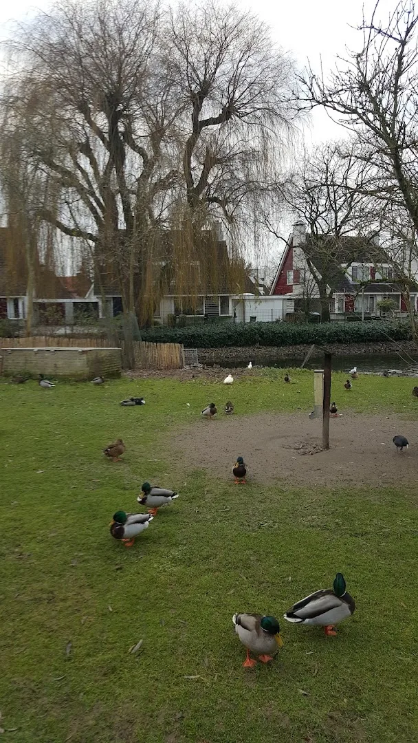 Druten — foto 3
