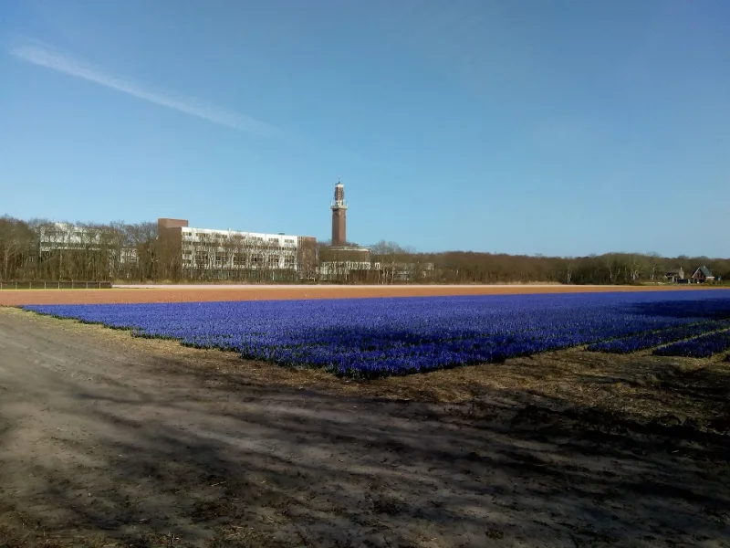 Karwei Noordwijkerhout — foto 5