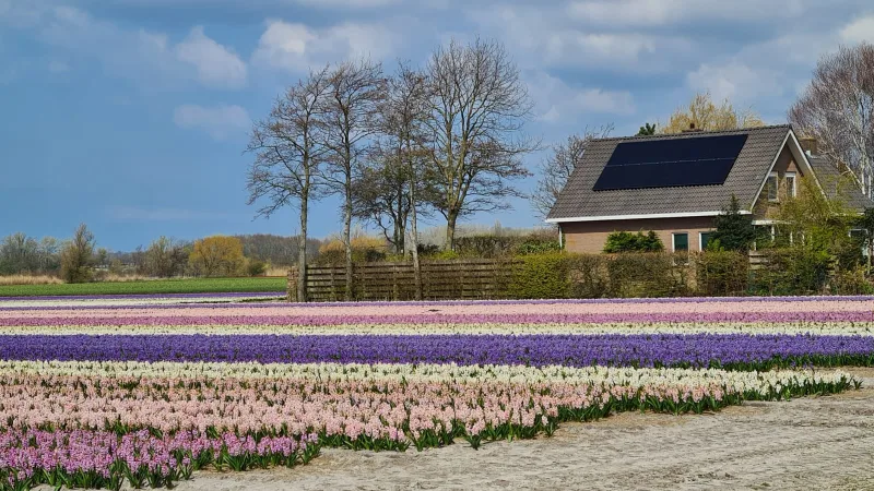 Karwei Noordwijkerhout — foto 7