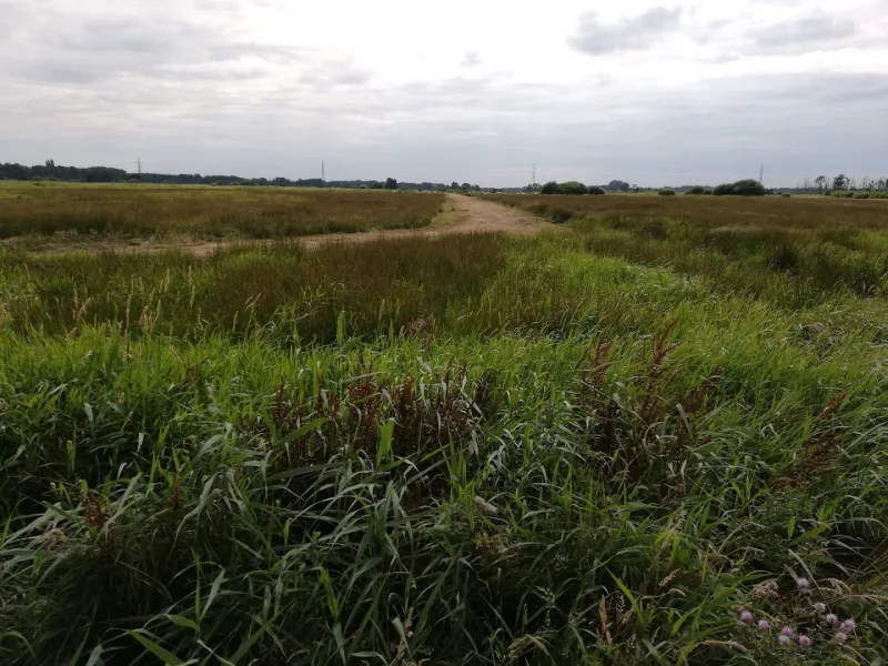 Groningen Peizerweg