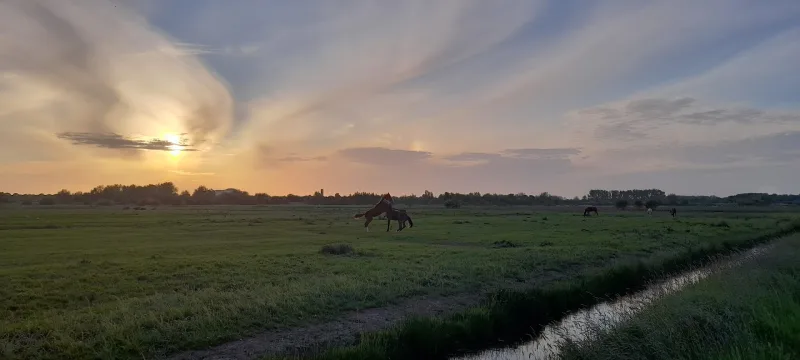 Groningen Peizerweg — foto 3