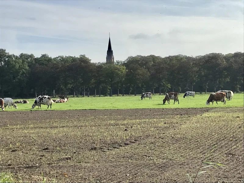 Karwei Gemert — foto 8